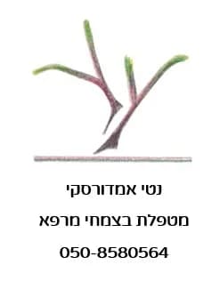 נטי אמדורסקי מטפלת בצמחי מרפא ובתזונה מקרוביוטית